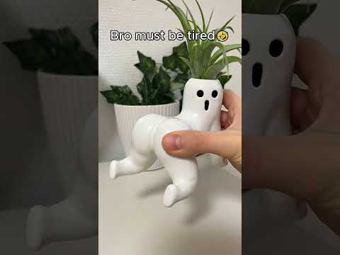 ? Funny mini plant holders 2026 -  Teasing Ghost Plant Mini Vase⁠ ( # 3282 ) ‪@MaviGadgets‬ thumbnail