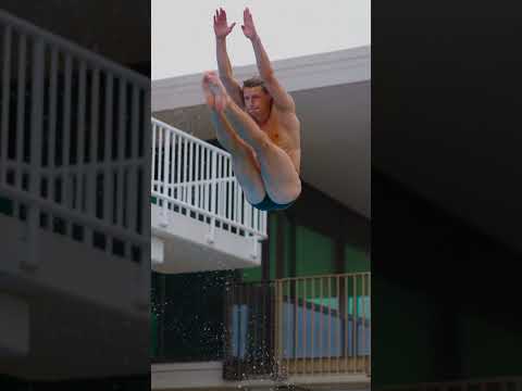 Diving thumbnail