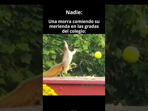 Porque para eso si tengo punteria thumbnail