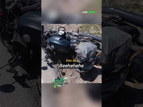 Biker Té Sắp Mặt Vì Mãi Mê Nhìn Dê Qua Đường ? ? thumbnail