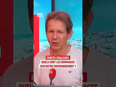 Fortes chaleurs : quels sont les dommages sur notre environnement ? thumbnail