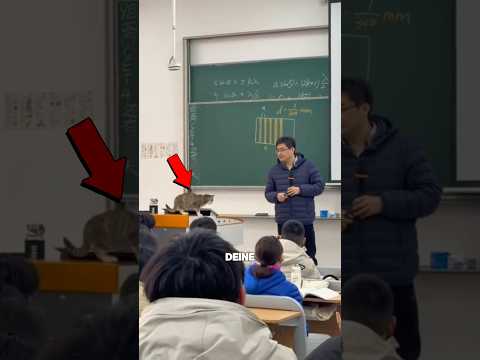 Bring deine Katze niemals mit in die Schule 😭 #shorts thumbnail