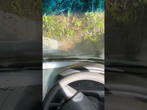 Can’t park there mate! #automobile #bestfails #drift #motorsport #burnout #extremecar #crazycars thumbnail