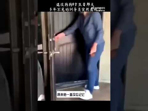 ?? 退役狗狗9岁生日，多年未见的训导员惊喜现身 ?? Retired Dog Reunited with Former Trainer on 9th Birthday thumbnail