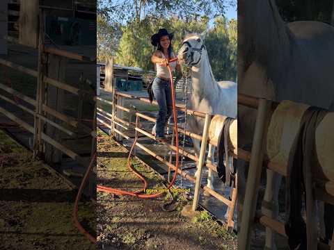 I started riding horses in my 30s… and it changed me 🐴 😍 #horse #horseriding #western thumbnail