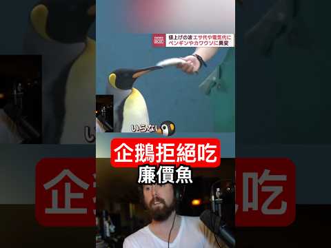 企鵝發現伙食被降級後…? thumbnail