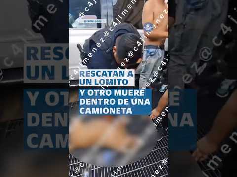 ¡Indignante! Vecinos encuentran a dos perros encerrados en una camioneta; uno murió #shorts thumbnail