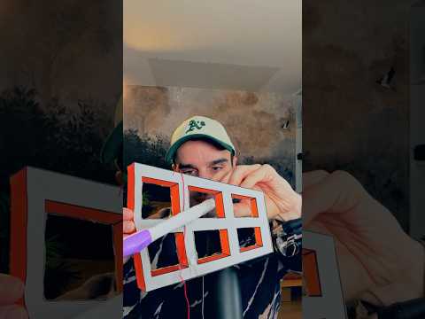 Une illusion incroyable, vous la voyez ? #shorts thumbnail