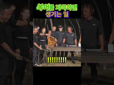 놀라운 복어의 음수량!#쇼츠 #예능#웃긴영상 thumbnail