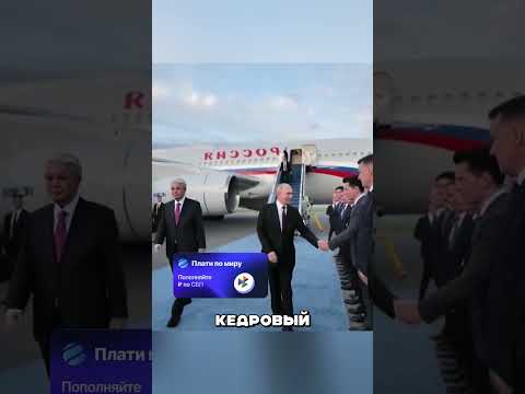ПУТИН ПЕРЕИГРАЛ ПРЕДАТЕЛЯ В КАЗАХСТАНЕ 🤬😎😳 thumbnail