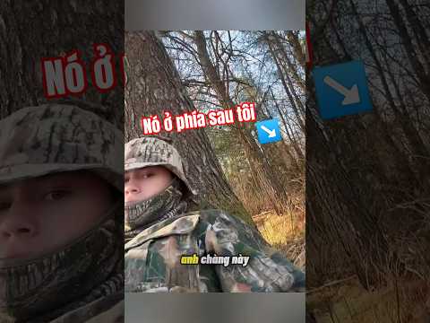 Đối Mặt Với Linh Miêu Trong Rừng Và Cách Xử Lý ? #animals #dongvat #khoảnhkhắc #shorts thumbnail