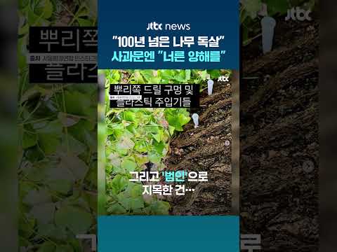"100년 넘은 은행나무 독살" 제초제 논란에..."너그러운 양해를" 환기미술관 사과  #JTBC #Shorts thumbnail