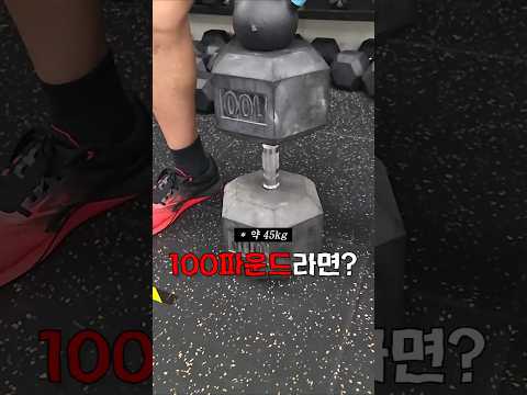 양면테이프로 100파운드를 들어본 건에 대하여 thumbnail