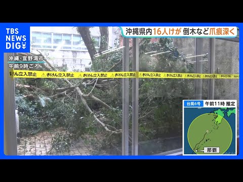 【台風6号】鉄骨がむき出しに…沖縄県内各地で倒木被害など相次ぐ 台風により16人けが　本島と周辺離島で1万戸あまり停電｜TBS NEWS DIG thumbnail