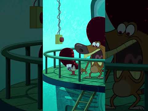 A serenata que faz todo mundo dormir #Zig & Sharko | Desenho animado para thumbnail