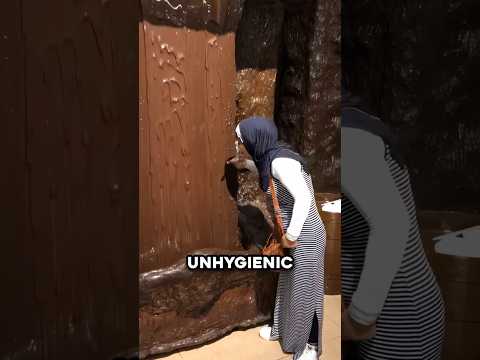 A Chocolate Waterfall You Can Eat 🍫 thumbnail