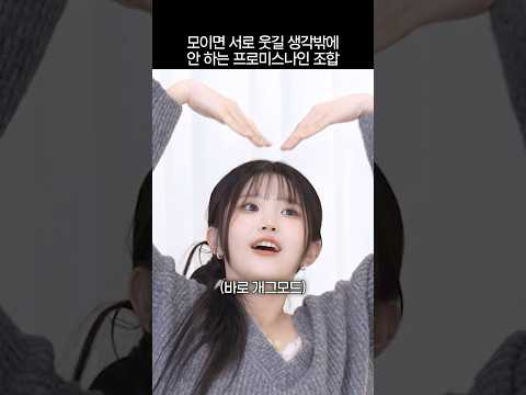 모이면 서로 웃길 생각밖에 안 하는 프로미스나인 조합 thumbnail