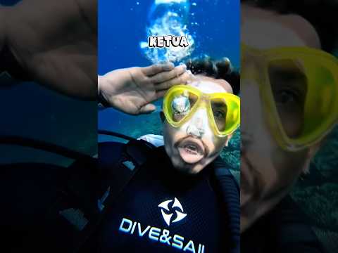 TOR MONITOR KETUA, KONDISI DIDASAR LAUT KETUA thumbnail