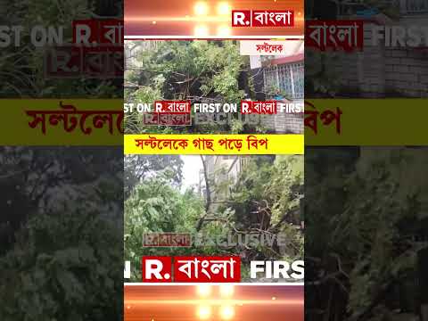 ঝড়বৃষ্টিতে সল্টলেকে গাছ পড়ে বিপত্তি #shorts thumbnail