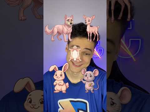 Correct Sequence Aminals Skin IQ #shorts #noads thumbnail