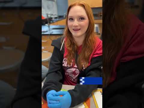 Real world experience: High school students join researchers to test water quality thumbnail