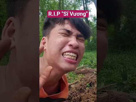 Sĩ Vương Đã Bị Bọ Cạp Chích 😵 #shorts #tikitiki #qmiir #tonytv thumbnail