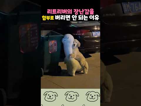 오래된 알파카 인형의 최후 thumbnail