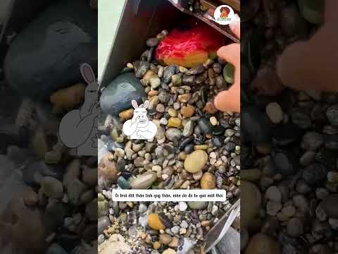 Tưởng Đổi Đời Vì Viên Đá Đỏ, Ai Ngờ Chạy Mất Trong Chớp Mắt thumbnail