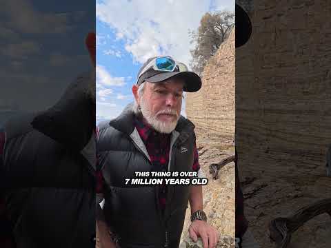 This thing is 7 MILLION years old. thumbnail