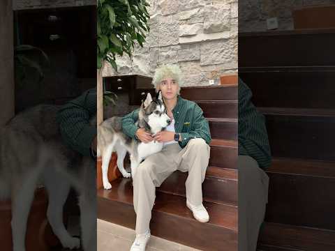 A QUIEN LE GUSTAN LOS PERRITOS ?❓ thumbnail