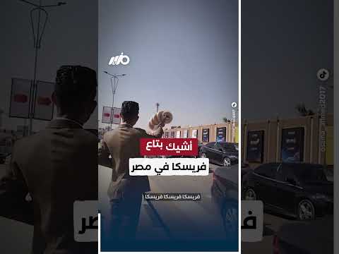 أشيك بتاع فريسكا في مصر thumbnail