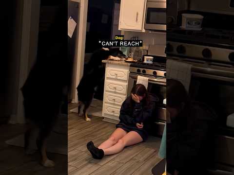 the dog SAVED her 🥹❤️ thumbnail