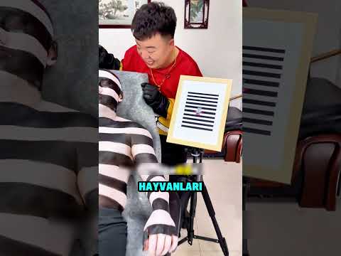 Dövmeyi Çok Yanlış Anladı! 😂🦓 thumbnail