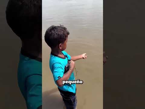 Este Niño Atrapó Un Pez Enorme Con Su Red ? thumbnail