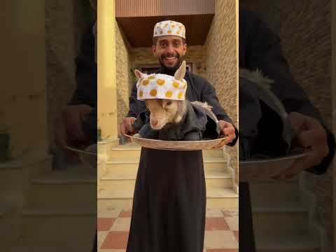 كل عام وأنتم بخير❤ thumbnail