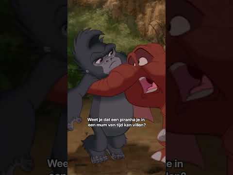 Tarzan | Terk en Tantor | Disney BE thumbnail