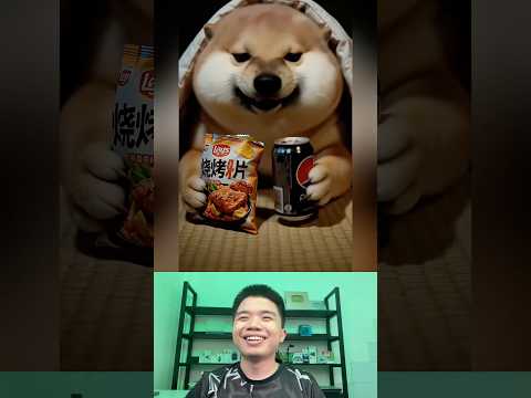 What The Dog Doing P180: PIPI LABU ĂN VỤNG thumbnail