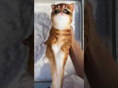 This Chinese Cat Toy Is So Sticky It Needs Gloves 😱 thumbnail