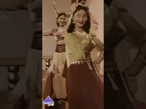 Salaam Baabu Video Song | Alibabavum 40 Thirudargalum Movie | MGR | Bhanumathi | #ytshorts thumbnail