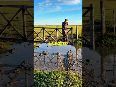 🚪Il réussit à fermer la porte grâce à sa famille thumbnail