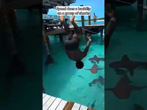 Speed Flips Into A Sea Full Of Sharks! 😱🦈 thumbnail