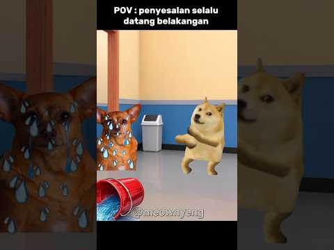 jangan di tiru ya teman², harus baik sama teman 🤗 #hiburan #memes #cat #lucu #trending thumbnail