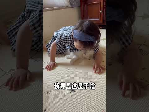 闪闪：你是人是狗… #搞笑 #萌娃 thumbnail