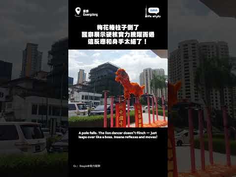 梅花樁柱子倒了，醒獅展示硬核實力騰躍而過，這反應和身手太絕了！#醒獅#高樁舞獅#非遺 thumbnail