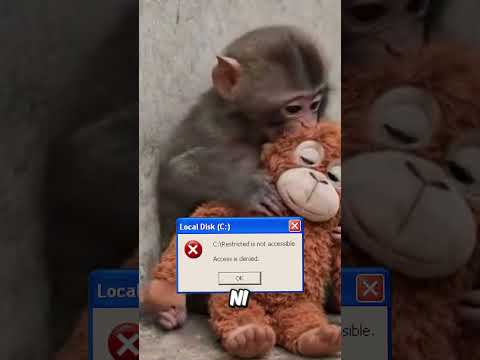 Te acuerdas de Punch? Hicieron una misión para eliminarlo! thumbnail