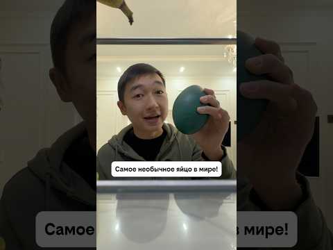 Достал самое необычное яйцо в мире! thumbnail