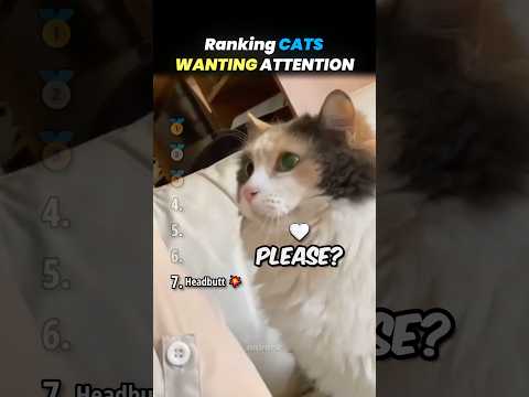 Ranking Cute CATS WANTING ATTENTION Core Moments!! 🐱🥺 thumbnail