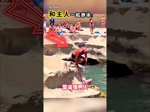 牠以爲主人掉進了水中 thumbnail