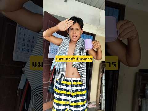แมวแต่งตัวเป็นทหารผู้กองแมวยิงผมทำไมเนี่ย #บังเอิญเจอ #funny #comedy #การแสดงเท่านั้น thumbnail