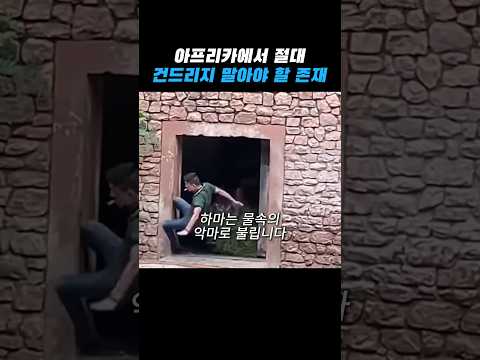 진심 건드리면 진심 ㅈ되는 존재 thumbnail